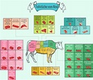 Eine informative Infografik zum Thema "Teilstücke vom Rind" oder "Wo ...