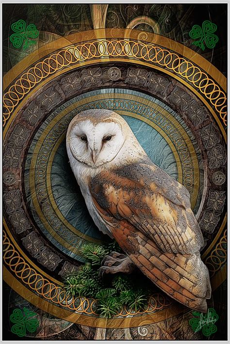 Owl Art By Greenfeed Owl Art Owl Artwork Owl