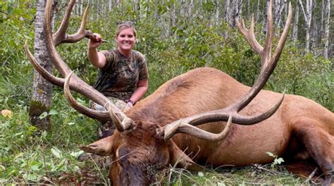 Minnesota Hunters Bull Elk Deemed Second Largest Ever