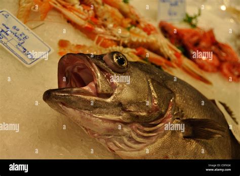 Fresh Fish At The Market Place Central Barcelona Stock Photo Alamy