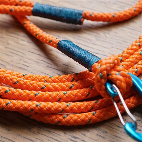 Long Rope Leash Orange Rope Long Line Lightweight Etsy New Zealand