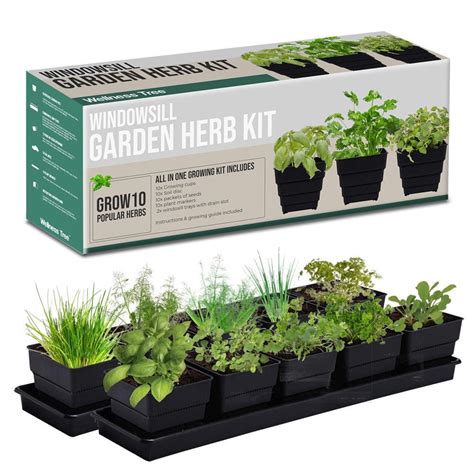Window Garden Kit 10 Herbs Indoor Organic Herb Growing Kit Etsy