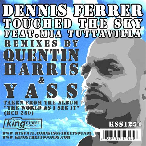 Dennis Ferrer Feat Mia Tuttavilla Touched The Sky Discogs