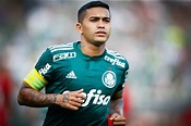 DUDU VAI PODER JOGAR A LIBERTADORES 2021? TUDO SOBRE SUA VOLTA ...