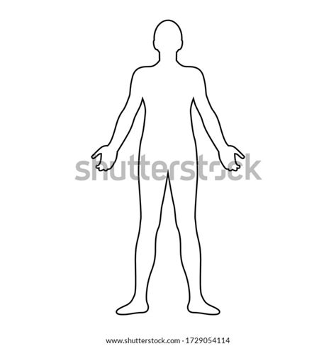 Human Body Line Drawing Vector Illustration 库存矢量图（免版税）1729054114
