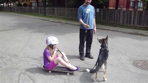 Jackass Dog Propelled Skateboard Youtube