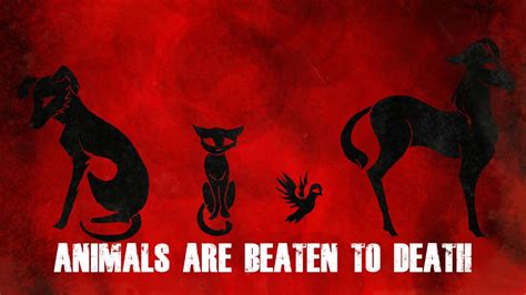 Animal Cruelty Animation Youtube