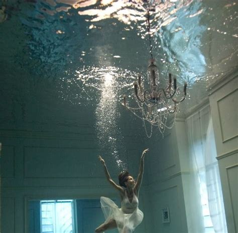Underwater Underwater Photography Underwater Photography