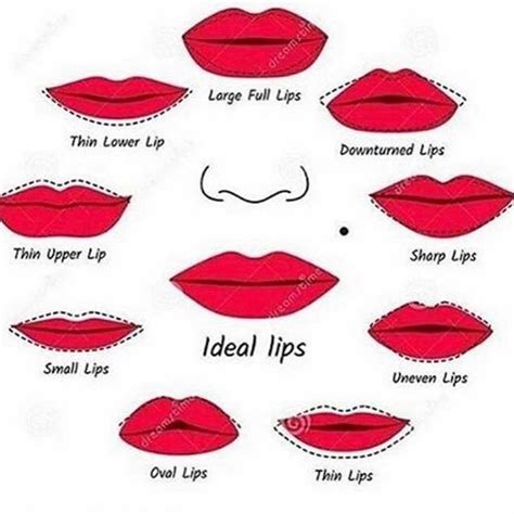 Comment Your Ideal Lip Shape 👄 Lip Shapes Makeup Tips Lips