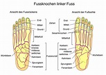 Info Behandlungen Fußschmerzen | Dr. Thomas Hartmann