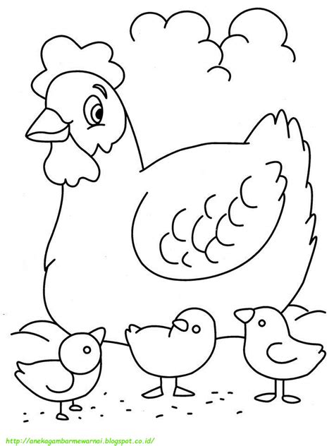15 Gambar Mewarnai Ayam Untuk Anak Paud Dan Tk