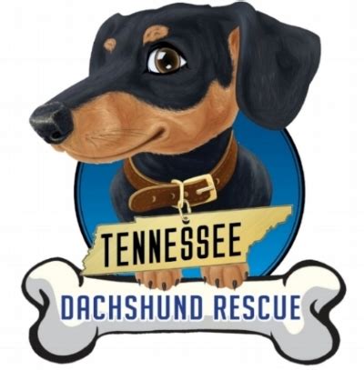 Petland knoxville is a brand new local pet store in knoxville, tn. TN Dachshund Rescue