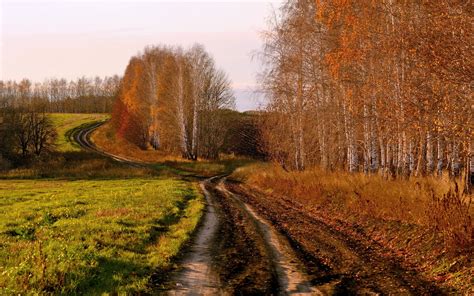 🔥 Download Country Road In Autumn Wallpaper Stock By Johnwarner