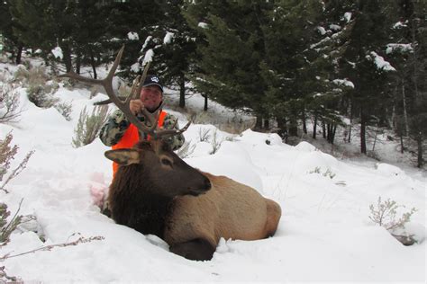 Rifle Elk Hunting Stockton Outfitters