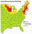Lyme Disease Map Pinpoints Areas Where Disease Poses Biggest Threat