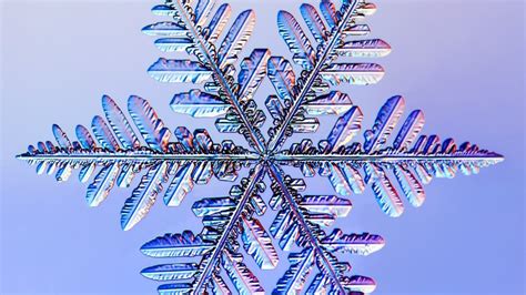 Crystal Magic The Science Of Snowflakes Mpr News