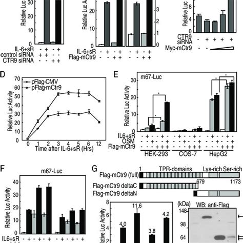 Ctr9 Interacts With The Jakstat3 Signaling Pathway To Control Download Scientific Diagram