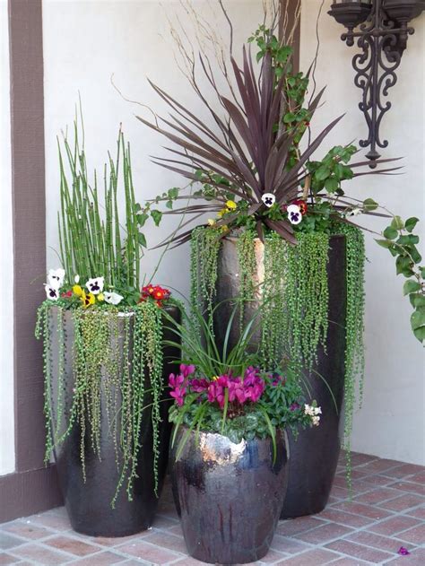 Pin By Jessica Lynes On Gardening Potted Plants Outdoor Container