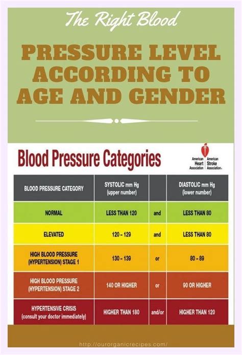 The Right Blood Pressure Level According To Age And Gender Artofit