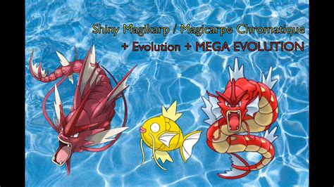 4 (MEGA) Shiny Magikarp / Magicarpe Chromatique + Évolution + MÉGA