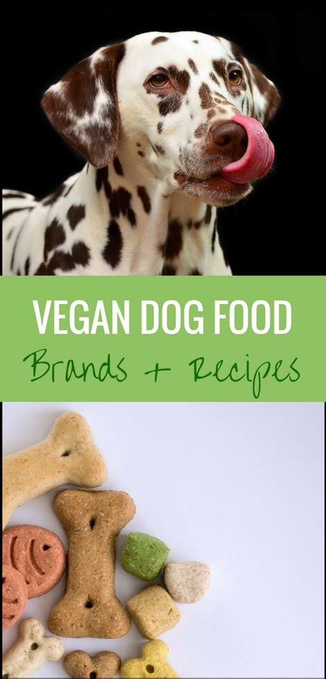 Blue buffalo's brand has a formula for small breeds built on chicken and brown rice, and this recipe gets our highest recommendation if you want the best food for your small pooch. The Best Vegan Dog Food Brands and Homemade Recipes | The ...