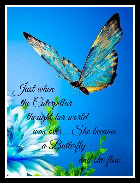 Inspirational Quote She Became A Butterflyand She Flew Flower