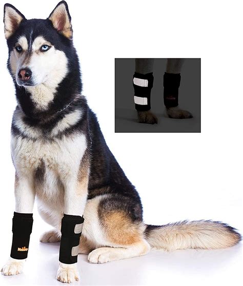 Buy Neoally Dog Braces Front Leg Carpal Support Canine Wrist Braces