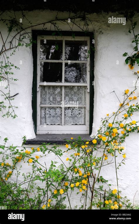 White Cottage Stone Wall Window Frame White Painted Traditional Stone