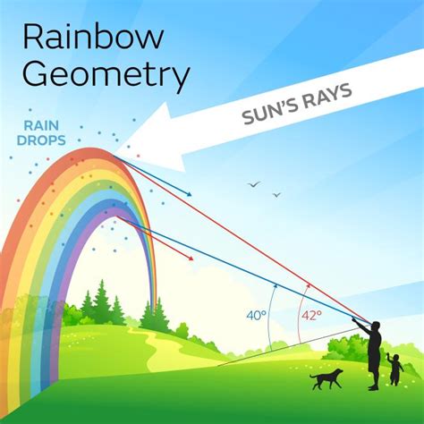 Visible Light How Can Internal Reflection Occur In A Rainbow If The