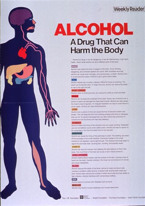 Alcohol A Drug That Can Harm The Body Open I