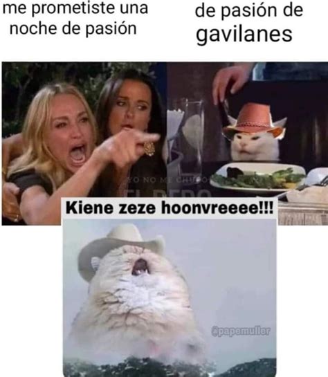 Este Meme Se Hace Viral La Mujer Y El Gato Colombia Noti