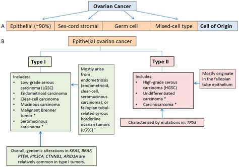 Ovarian Cancer Tumor Types