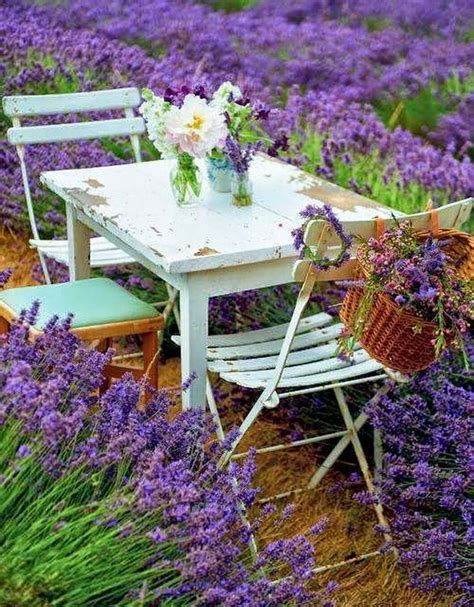 Pin By Dirk On Table For Two Lavender Garden Lavender Cottage Outdoor