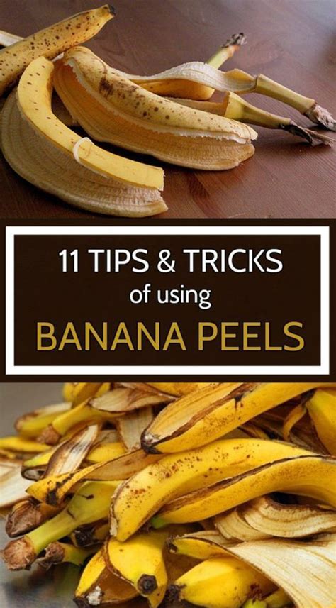 Explore a wide range of the best banana peel on aliexpress to find one that suits you! 11 Tips and Tricks of Using Banana Peels | Banana peel ...