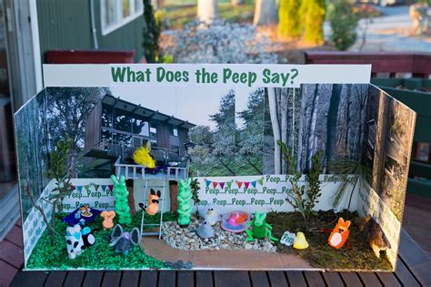 Peeps Contest Winners Wonder What The Fox Might Say The Washington Post