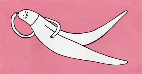 This Animation About The Clitoris Will Amuse And Educate