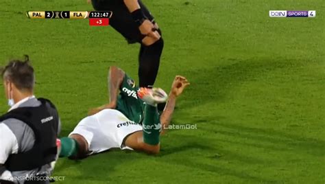 Brazilian Player Dives At The Touch Of The Referee Rfunny