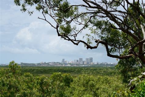 Top 8 Things To Do In Darwin In The Wet Season Kathswinbourne