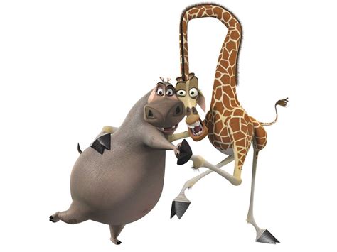Gloria Melman Madagascar Madagascar Movie Cute Clipart