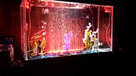 Led Bubble Wall In My Goldfish Aquarium Youtube