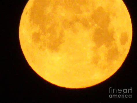 Super Full Moon 5am Photograph By Gj Glorijean Fine Art America