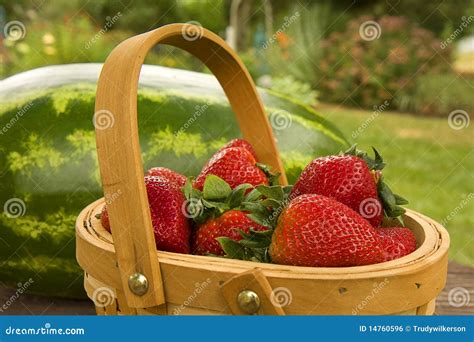 Watermelon And Strawberries Stock Photo Image Of Ripe Summer 14760596