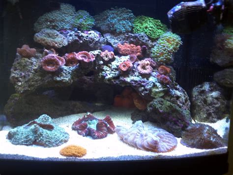 Coralife Biocube 29 Stock Lighting Reef2reef Saltwater And Reef