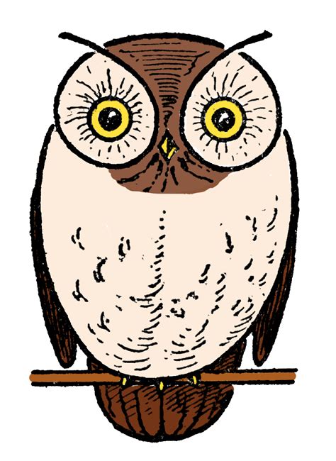 Owl Drawing Step By Step 3 Ways The Graphics Fairy