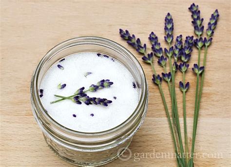Learn About Cooking With Lavender By Using It Several Different Ways