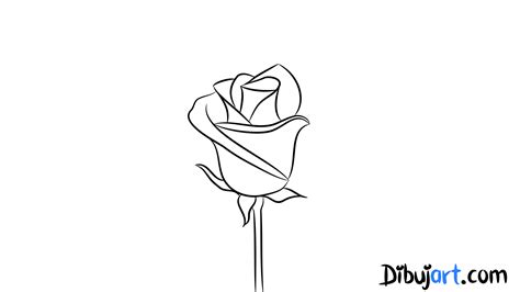 Cómo Dibujar Una Rosa 4 Dibujos De Rosas Color Claro