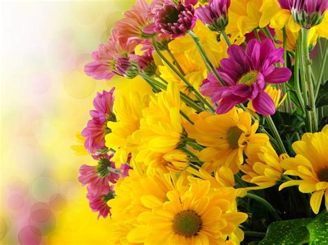 Beautiful Flowers Bouquet With Yellow And Purple Green