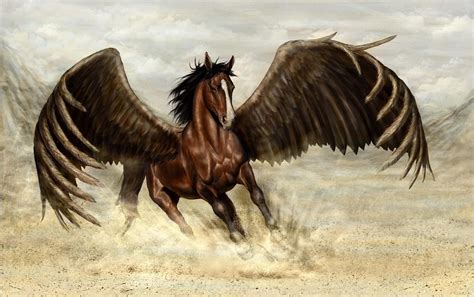 Hình Nền Pegasus Con Ngựa Cánh Cát 2310x1450 Wallhaven 645388