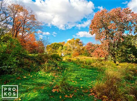 The Meadow In Autumn Central Park Landscape Photo By Andrew Prokos