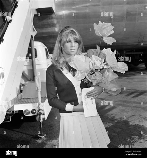 Julie Christie 1966 Black And White Stock Photos And Images Alamy